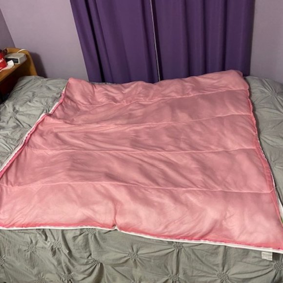 Strawberry Shortcake with Custard the Cat Pink Sleeping Bag Vintage - Picture 9 of 10